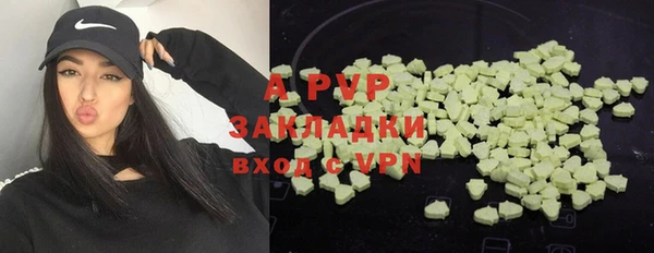 твердый Алексеевка