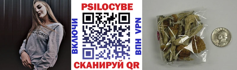 Галлюциногенные грибы Psilocybe  купить наркотики цена  Сясьстрой 